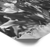 Poster Tulipes en fleurs (Coin)