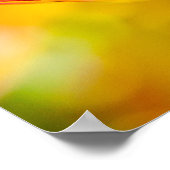 Poster Tulipes Enchanter 01 (Coin)