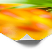 Poster Tulipes Enchanter 01 (Coin)