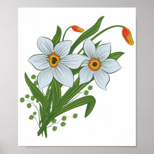 Poster Tulipes et fleurs de jonquilles