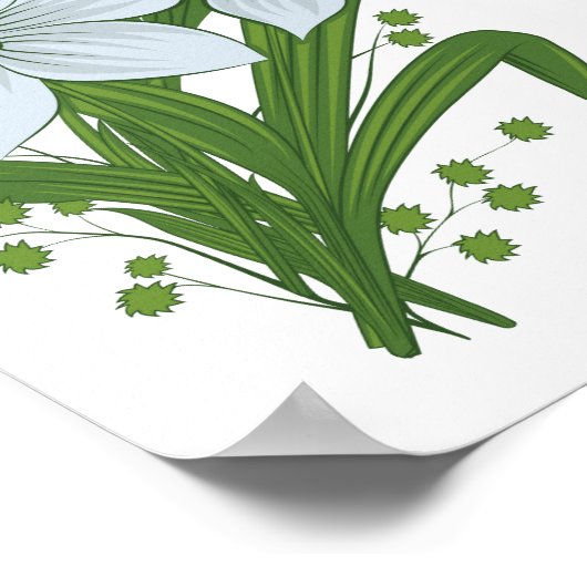 Poster Tulipes et jonquilles Fleurs (Coin)