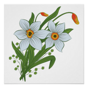 Poster Tulipes et jonquilles Fleurs