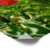 Poster Tulipes et Poppies (Coin)