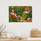 Poster Tulipes et Poppies (Cuisine)