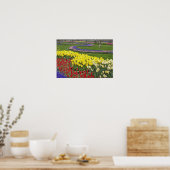Poster Tulipes, Hyacinthe du raisin et Daffodiles, (Cuisine)