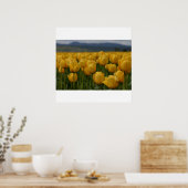 Poster Tulipes jaunes (Cuisine)