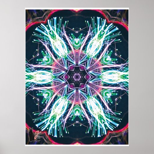 Poster Tulipes Kaléidoscope (Devant)