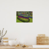 Poster Tulipes, Muscari, et jonquilles, (Cuisine)