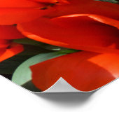 Poster Tulipes orange (Coin)