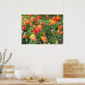 Poster Tulipes orange (Cuisine)