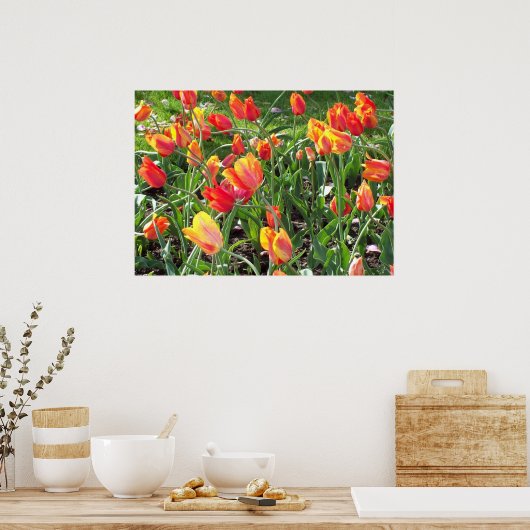 Poster Tulipes orange (Cuisine)