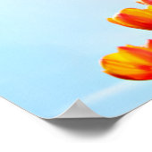 Poster Tulipes orange et rouge vues d'en bas (Coin)