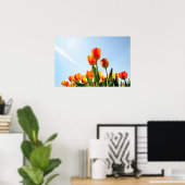 Poster Tulipes orange et rouge vues d'en bas (Bureau à domicile)