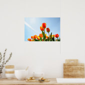 Poster Tulipes orange et rouge vues d'en bas (Cuisine)