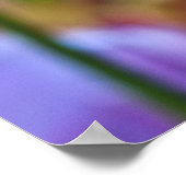 Poster Tulipes pourpres (Coin)