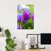 Poster Tulipes pourpres (Bureau à domicile)