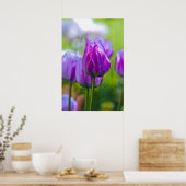 Poster Tulipes pourpres (Cuisine)