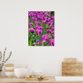 Poster Tulipes pourpres (Cuisine)