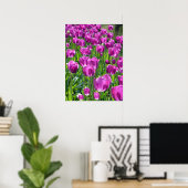 Poster Tulipes pourpres (Bureau à domicile)