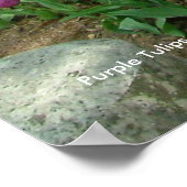 Poster Tulipes pourpres (3033) (Coin)