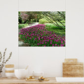 Poster Tulipes pourpres (3033) (Cuisine)