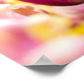 Poster Tulipes proches (Coin)