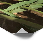 Poster Tulipes rose et jaune (Coin)