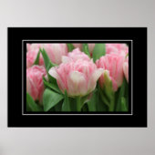 Poster Tulipes roses (Devant)