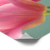 Poster Tulipes roses (Coin)