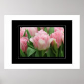 Poster Tulipes roses (Devant)
