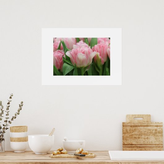 Poster Tulipes roses (Cuisine)