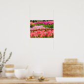 Poster Tulipes roses (Cuisine)