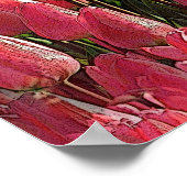 Poster Tulipes roses florales (Coin)