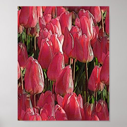 Poster Tulipes roses florales (Devant)
