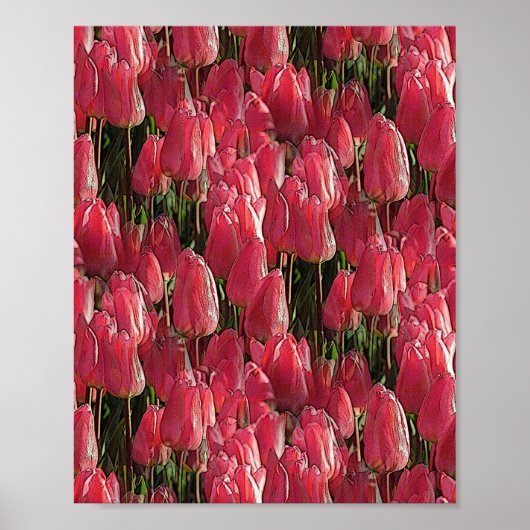 Poster Tulipes roses florales (Devant)