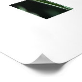 Poster Tulipes rouges (Coin)