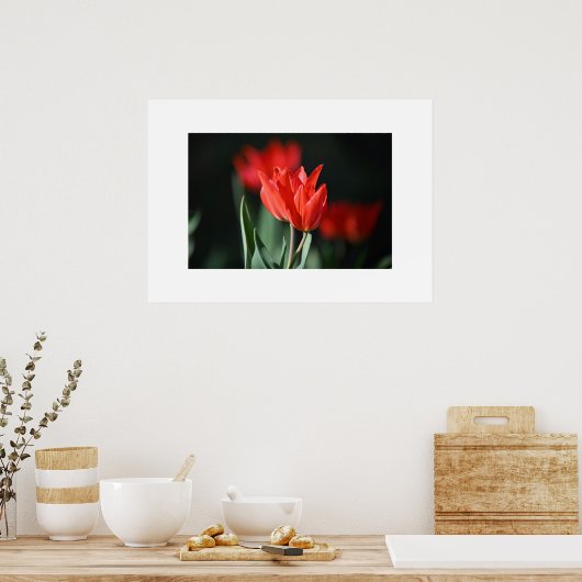 Poster Tulipes rouges (Cuisine)