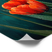 Poster Tulipes rouges (Coin)