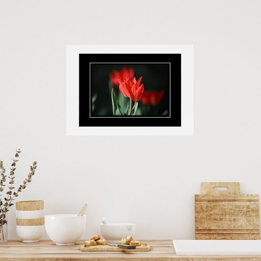 Poster Tulipes rouges (Cuisine)