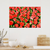 Poster Tulipes rouges (Cuisine)