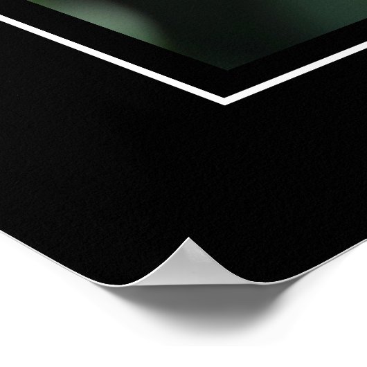 Poster Tulipes rouges (Coin)