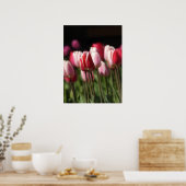 Poster Tulipes rouges et blanches et roses (Cuisine)
