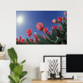 Poster Tulipes rouges sous un angle très bas, Cincinnati, (Bureau à domicile)