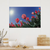Poster Tulipes rouges sous un angle très bas, Cincinnati, (Cuisine)