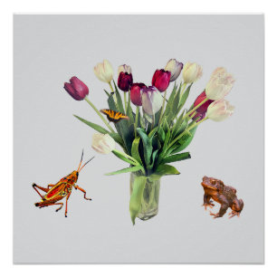 Poster Tulipes, Sauterelle, Papillon et Grenouille