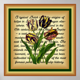 Poster Tulipes tardives Bizarres ~ Art botanique Imprimer