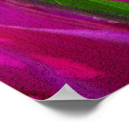 Poster Tulipes violettes en Keukenhof, Hollande Imprimer (Coin)