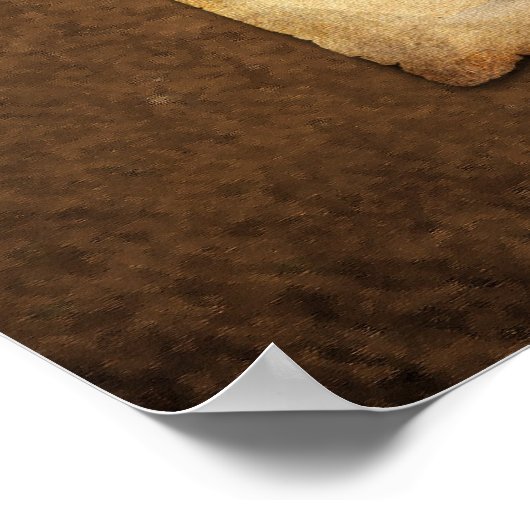 Poster Tulipomania (Coin)