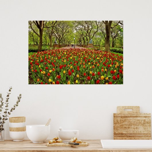Poster Tulips Central Park NYC (Cuisine)