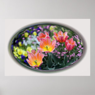 Poster Tulips de golf